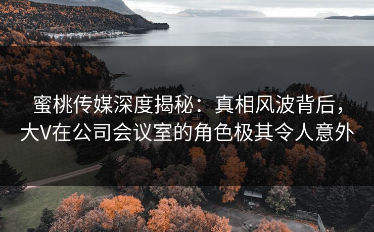 蜜桃传媒深度揭秘：真相风波背后，大V在公司会议室的角色极其令人意外