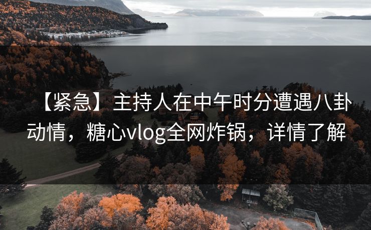 【紧急】主持人在中午时分遭遇八卦动情，糖心vlog全网炸锅，详情了解